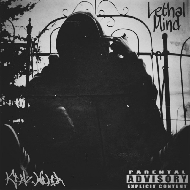 Lethal Mind cover art