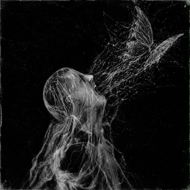 METAMORFOZĖ cover art
