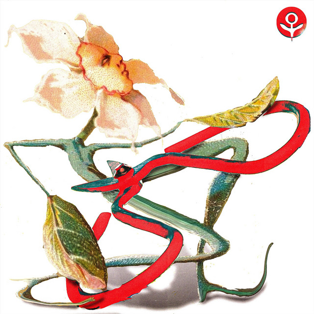 Droll cover art
