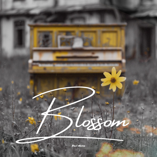 Blossom