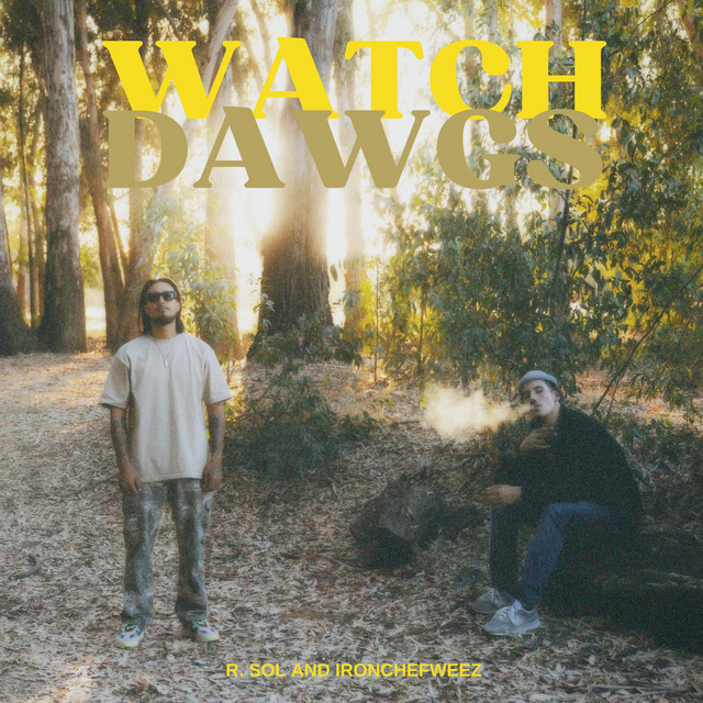 Neighborhood Skywalker