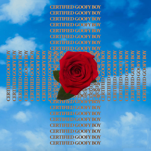 Certified Goofy Boy cover art
