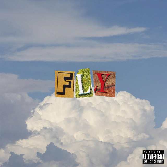 FLY cover art