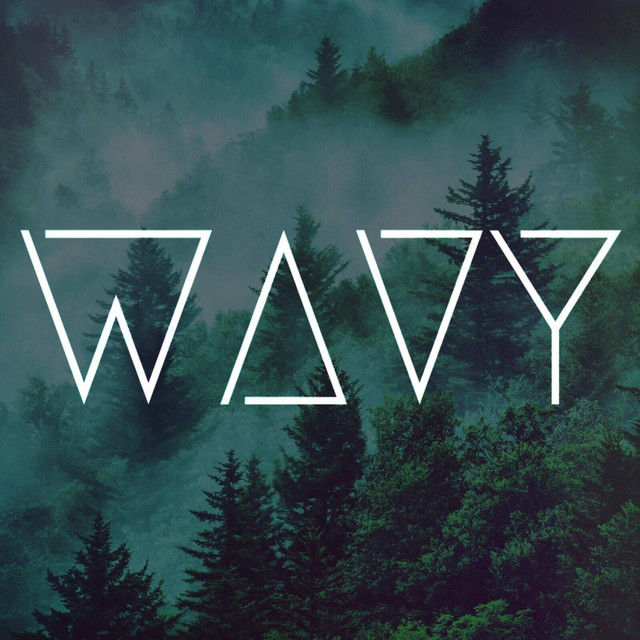 Wavy cover art