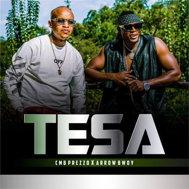Tesa