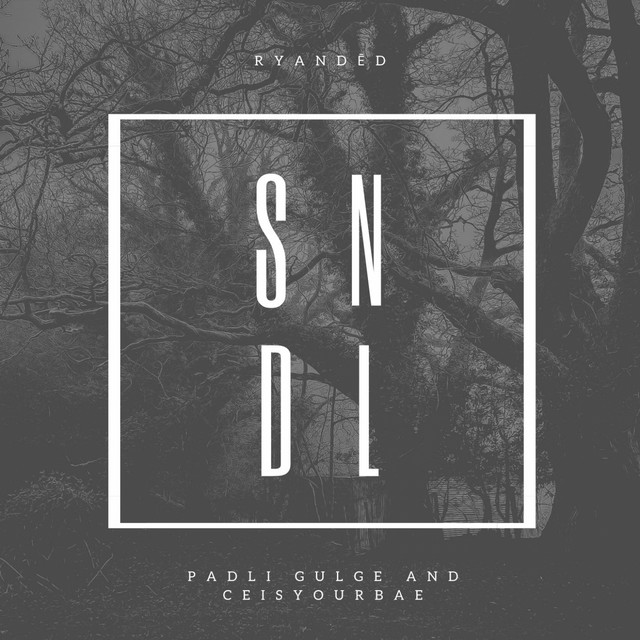 SNDL cover art