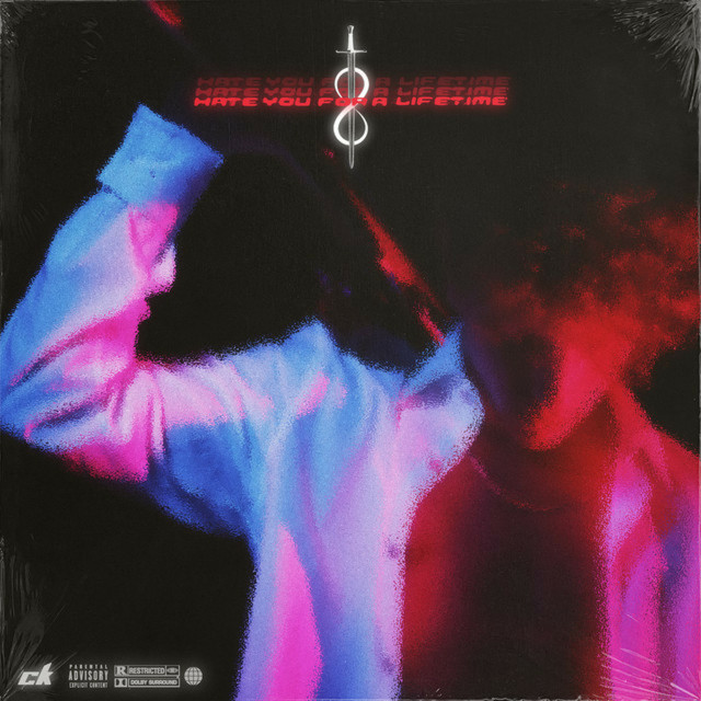 Hate You For A Lifetime cover art