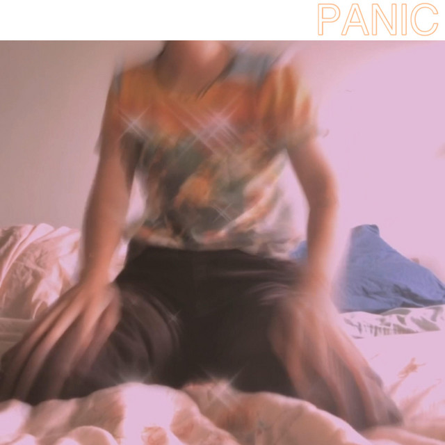 Panic cover art