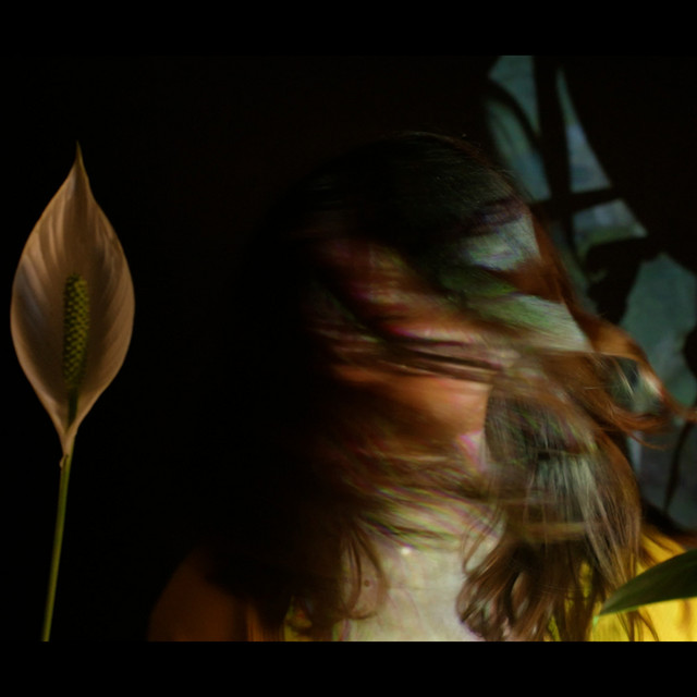 Dead Nettle (Miaoux Miaoux Remix) cover