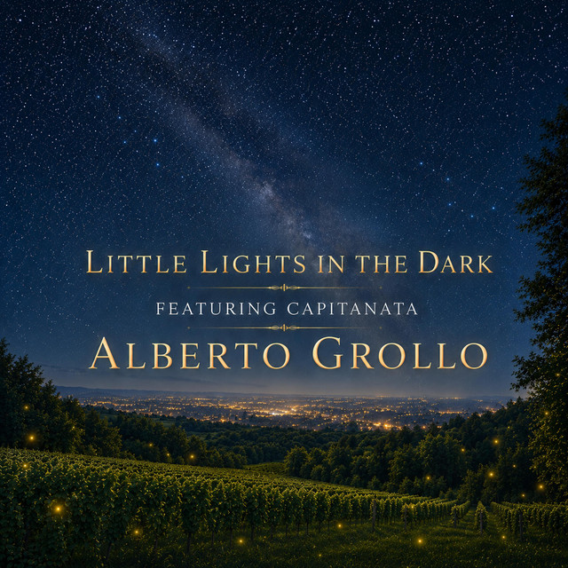 Little Lights In The Dark cover