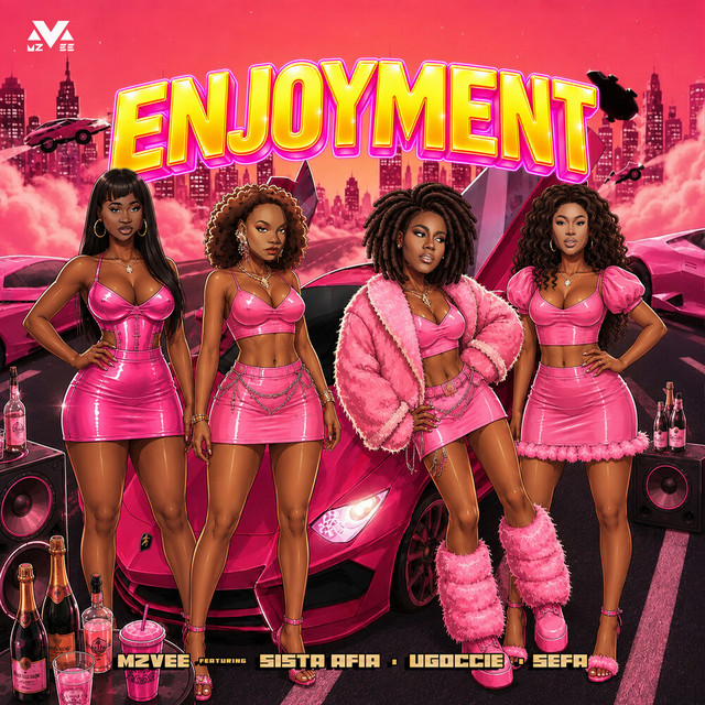 Enjoyment cover