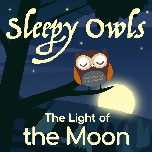 The Light of the Moon cover art