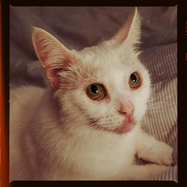 Zoey