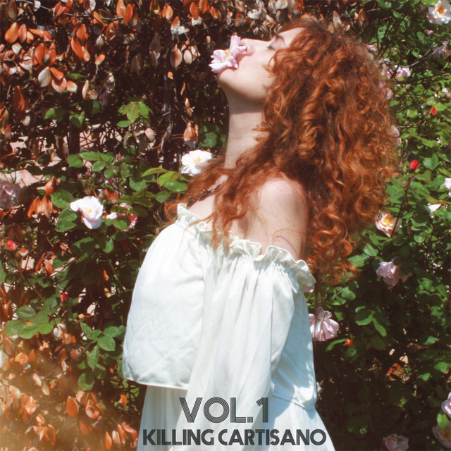 Vol. 1 cover art
