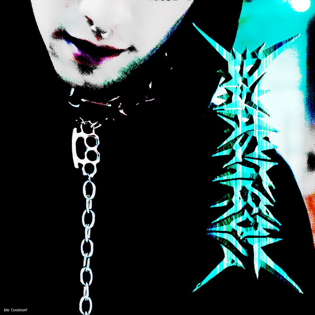 Die Coolsten! cover art