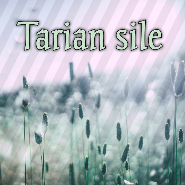Tarian sile album image