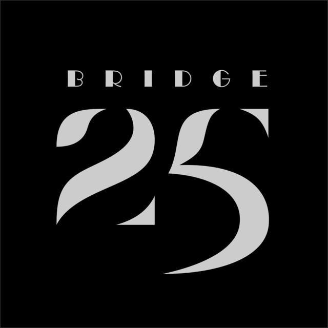 25 cover art