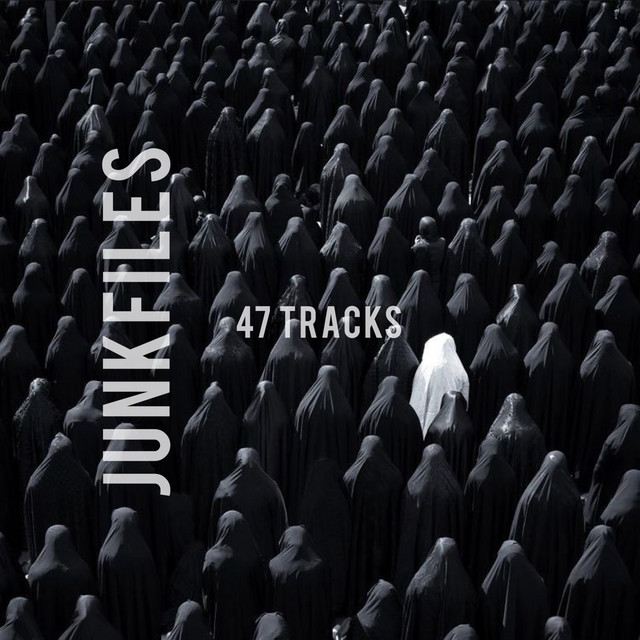 JUNK FILES cover art