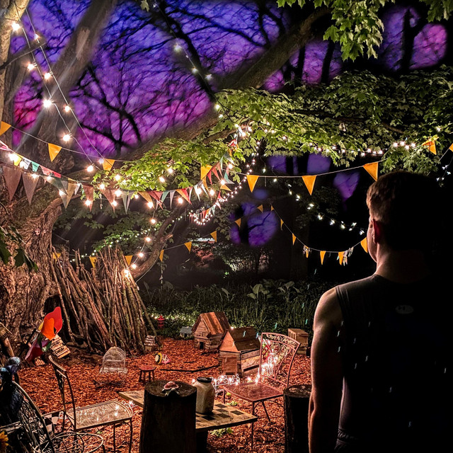 Late Autumn Nights 2 cover art