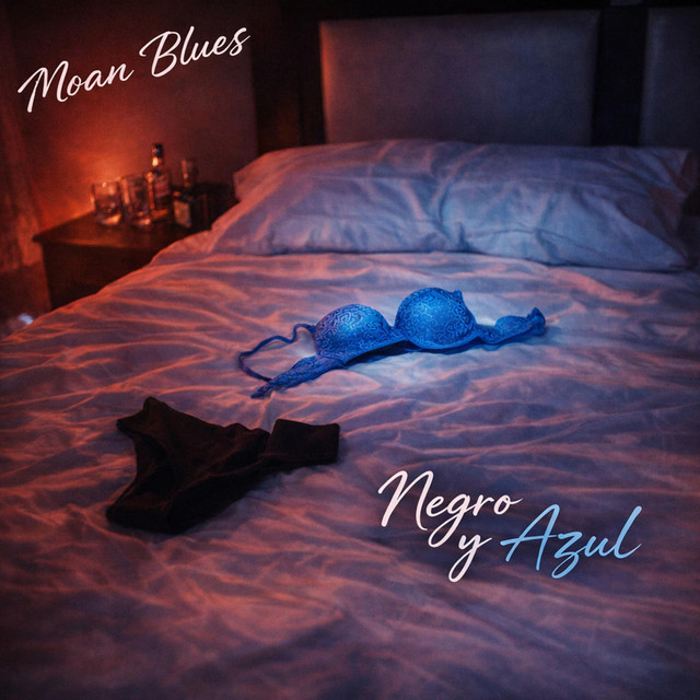 Negro y Azul cover art