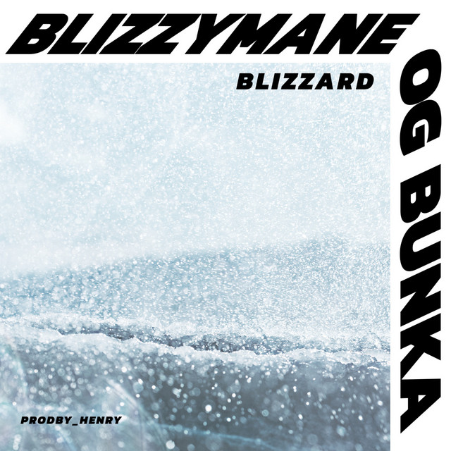 Blizzard cover art