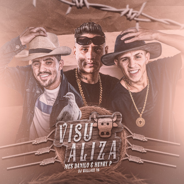 Visualiza cover art