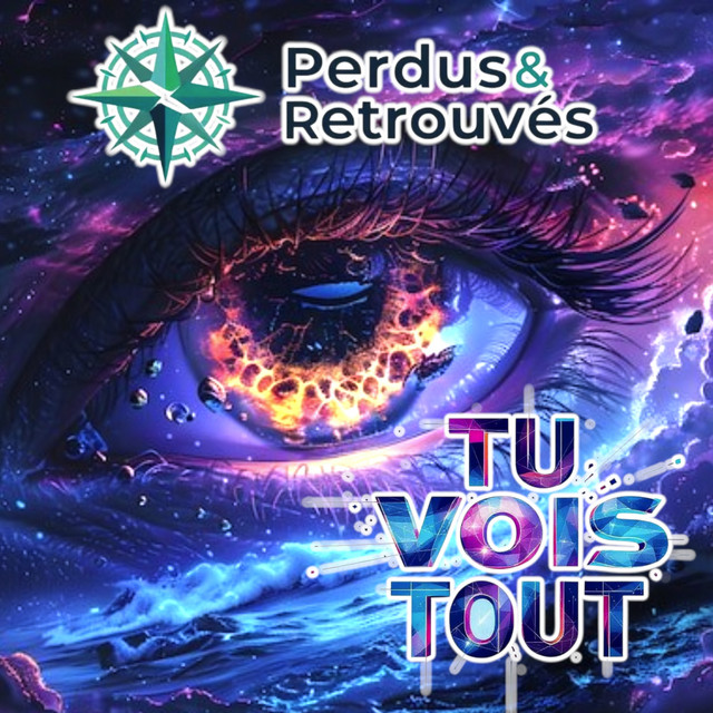 Tu Vois Tout cover