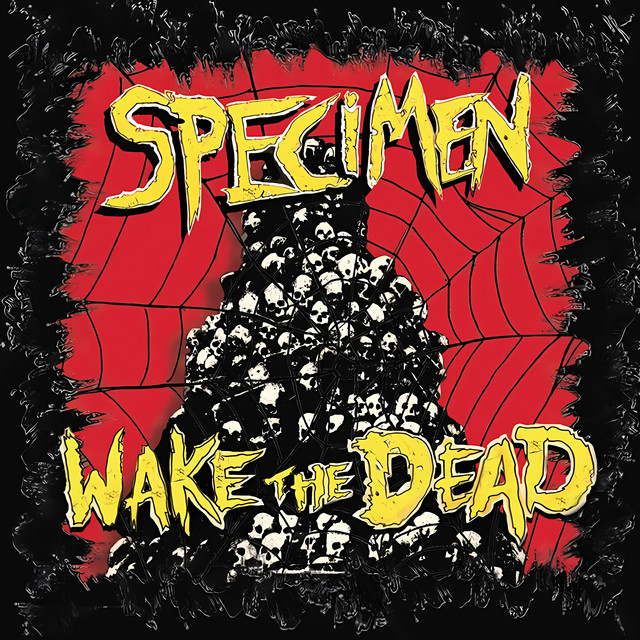 Wake the Dead cover art