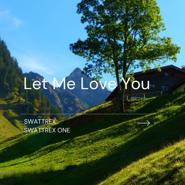 Let Me Love You cover