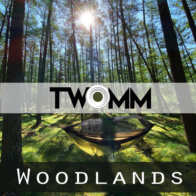 Woodlands - Radio Edit cover art