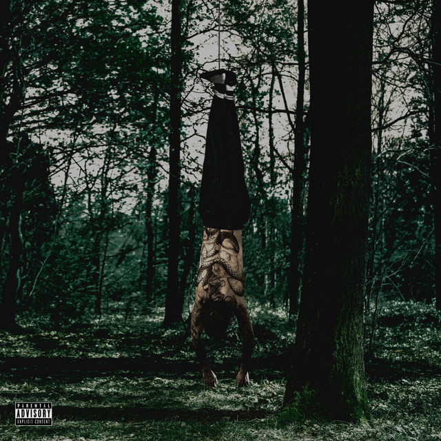 Non vorrei essere cattivo cover art