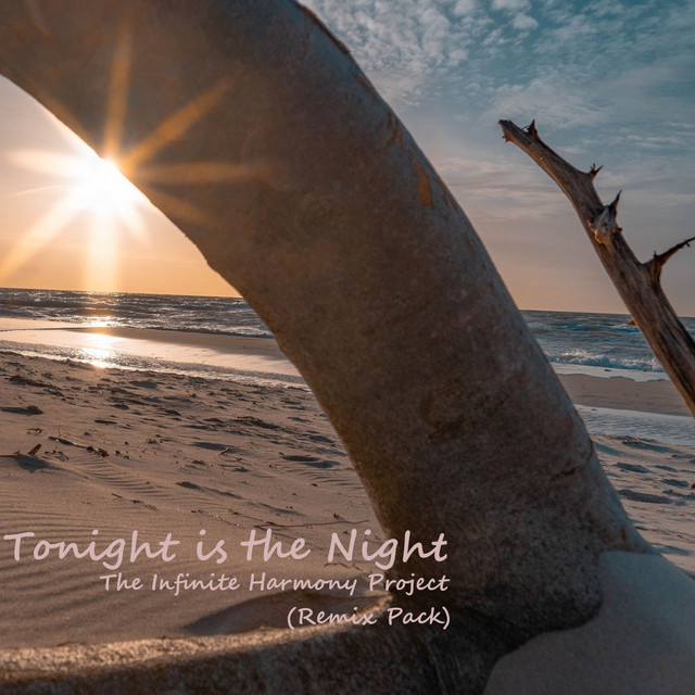 Tonight Is the Night (Remix Pack) cover art