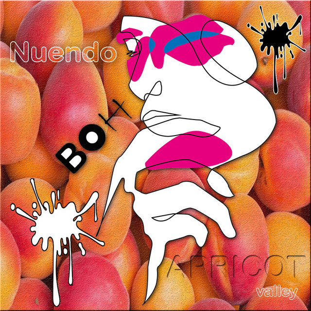 Apricot Valley album art