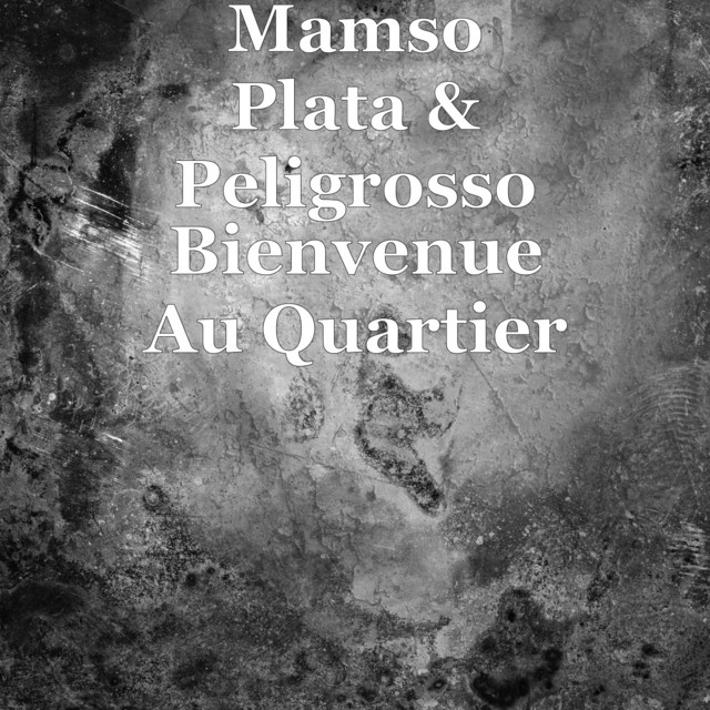 Bienvenue Au Quartier - Single by Mamso Plata | Spotify