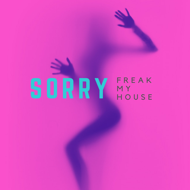 Sorry - Chicks Gone Wild Remix