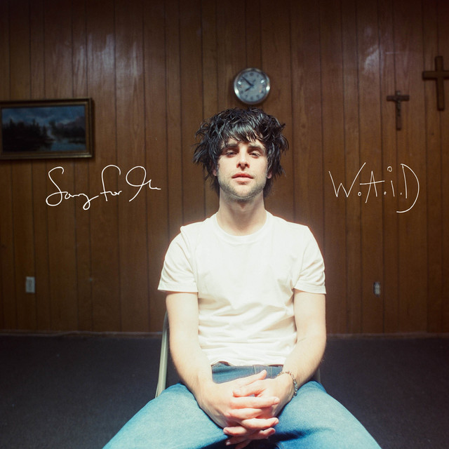 SORRY FOR THE W.A.i.D cover art