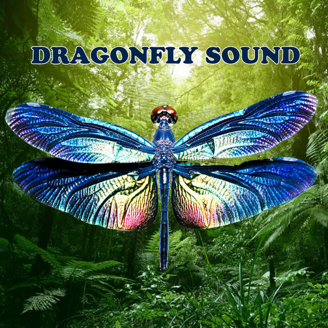 Dragon Sound Photo