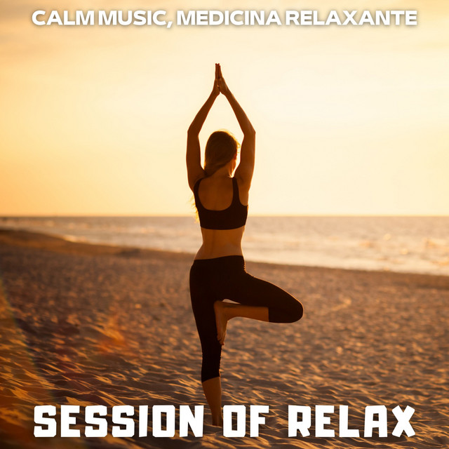 Session of Relax cover art