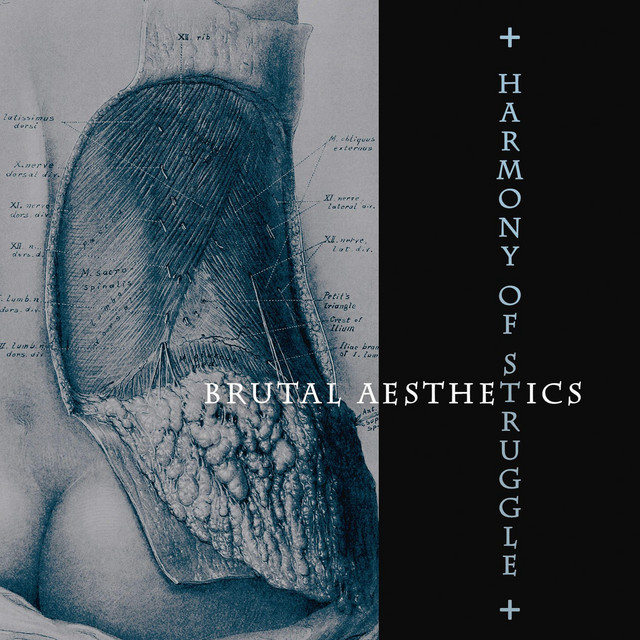 Brutal Aesthetics cover art
