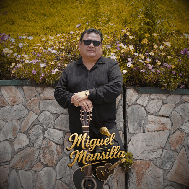 Miguel Mansilla