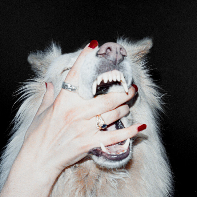 undefined album image