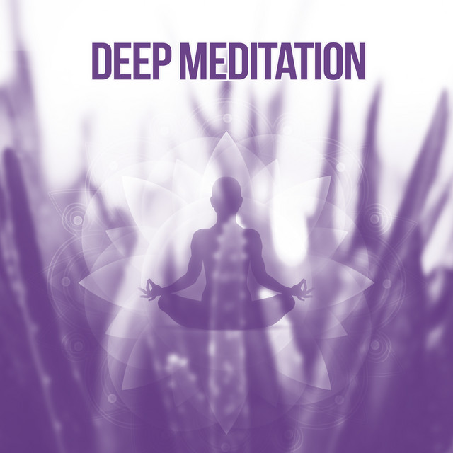 The Meaning Of Life Song By White Noise Meditation Spotify