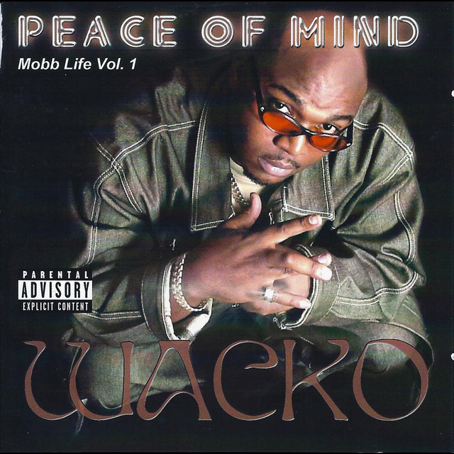 Peace of Mind: Mobb Life Vol. 1 cover art