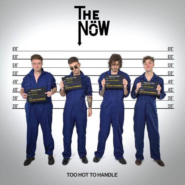 Too Hot To Handle cover art
