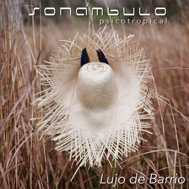 Lujo de Barrio cover art