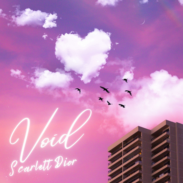 Void cover art