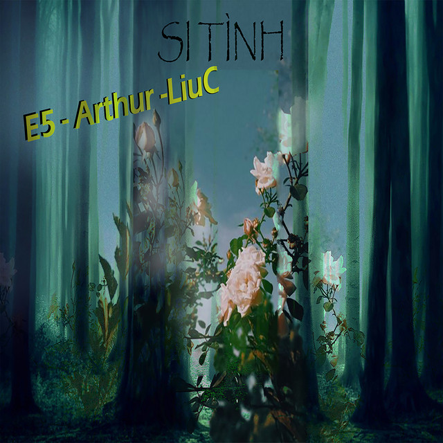 Si Tình cover