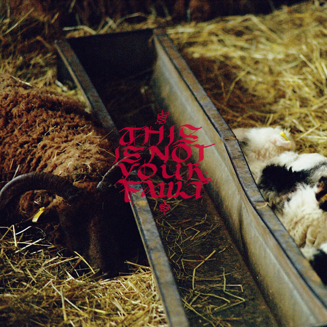 This Is Not Your Fault cover art