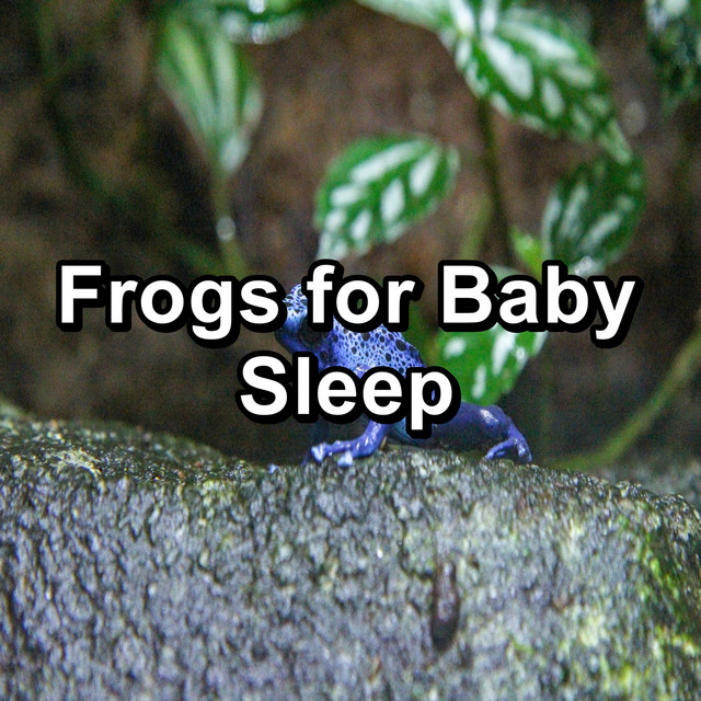Frogs for Baby Sleep cover art