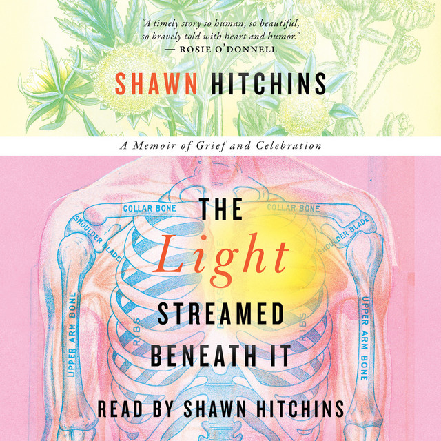 Shawn Hitchins